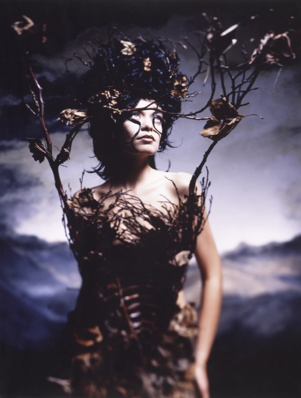 branch bodice
