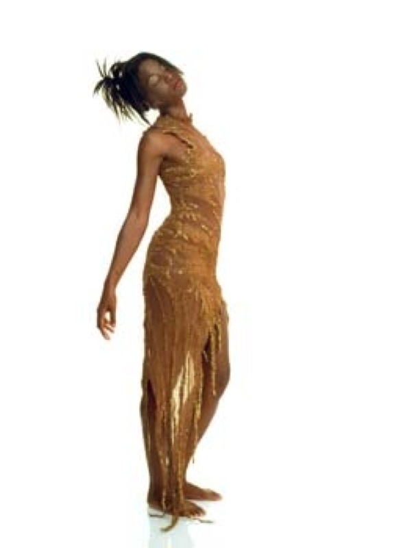 sawdust dress