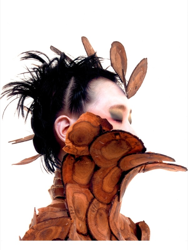 oak slice jacket